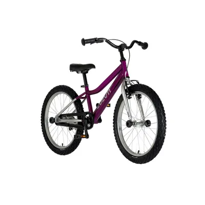 Zuzum Dječiji bicikl, 20", Ljubičasto-hrom