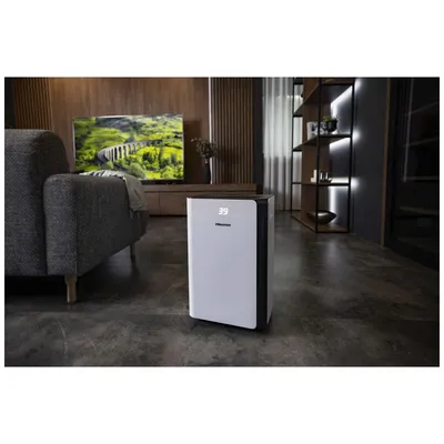 Hisense Odvlaživač zraka D20CW, 20l/24 h, 280W, Bijeli