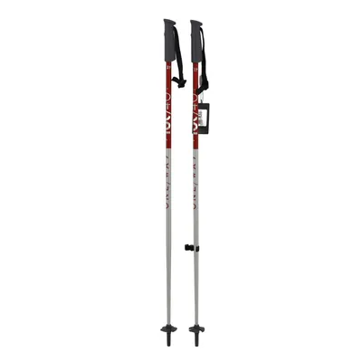 Fischer Ski štapovi One Way Junior, Crveni