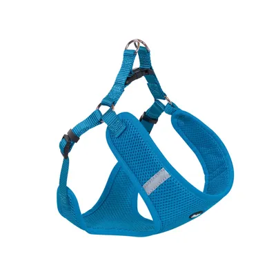 Nobby Prsnik za pse Gregor L 58-69 cm 20 mm 54 cm svijetlo plavi