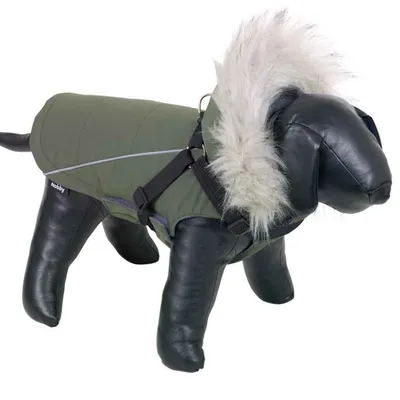Nobby Jakna za pse sa kapuljačom Mily 2u1, 36 cm, Zelena