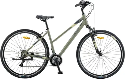 POLAR Ženski bicikl  Athena Forest Edge - L