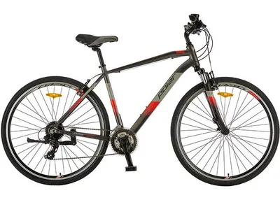 Polar Bicikl  Forester Comp 24 - L, Crvena