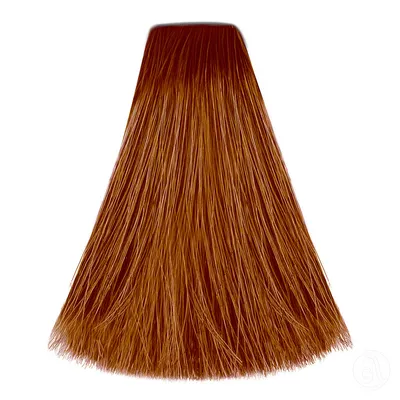 Infinity Farba za kosu, 100ml, 8/34 Bakarnozlatna svetloplava