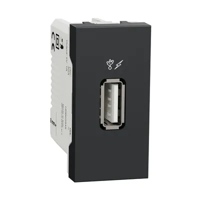 Schneider Electric USB 2.0 Utičnica NU342854, Punjač 1M, Crna