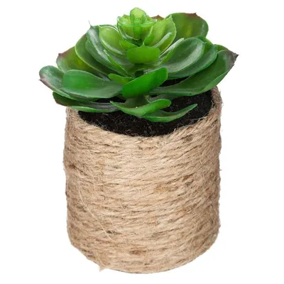 Atmosphera Umjetno cvijeće u tegli, 16 cm, Zelena
