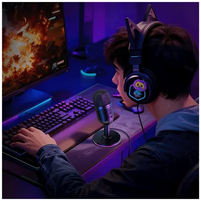Hoco Mikrofon L25, stolni, RGB, USB, Crni