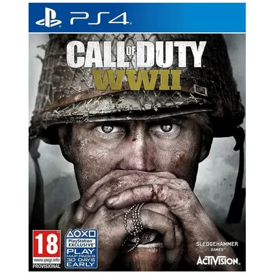 Activision Igra PlayStation 4 Call of Duty WWII