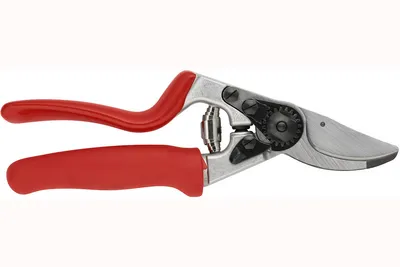 Felco Škare 10