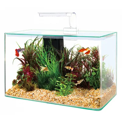 Akvarij Clear 40, Bijeli