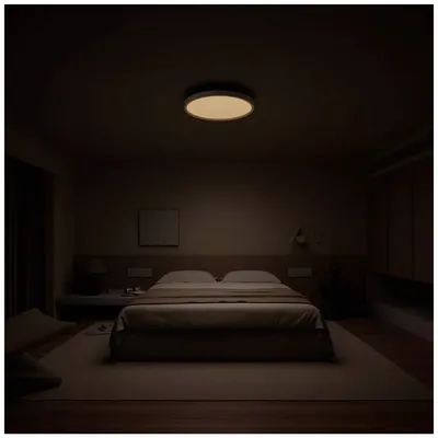 Xiaomi Pametna LED stropna svjetiljka Mi Smart Ceiling Light D40, 45W, Bijela