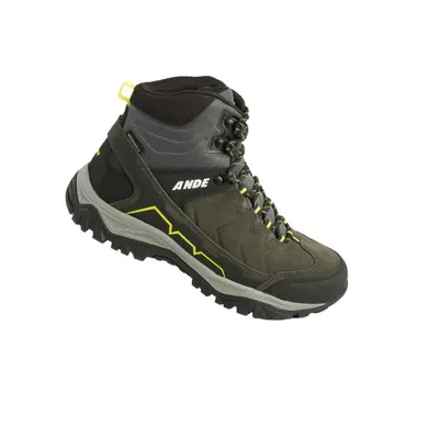 Ande Cipele za planinarenje Hiker High Wp, Smeđe