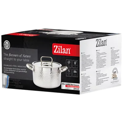 ZILAN Lonac sa staklenim poklopcem, 24 cm ZLN1320, Srebrna boja