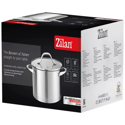 ZILAN Lonac sa staklenim poklopcem 24 cm ZLN1368, Srebrna boja