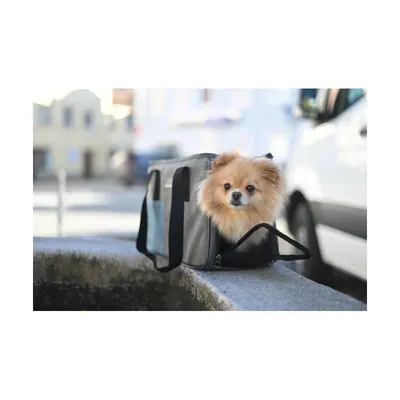 Transportna torba Vacation