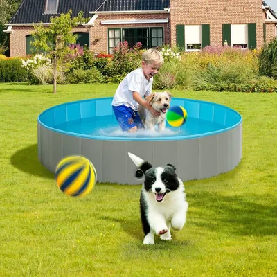 bxl Bazen za pse 80x20cm, Sivi