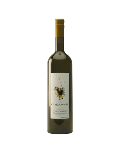 Vinarija Jungić Chardonnay