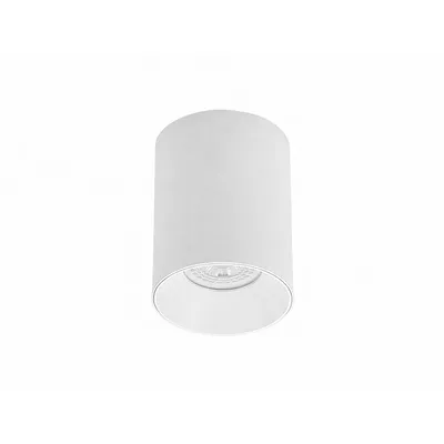MASS-light Svjetiljka Downlight nadgradni Larsen ML-2163-01, Bijela