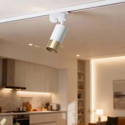 E-light Reflektor Led za GU10 šinsku rasvjetu Wilson EL-2391-01, Bijelo-Zlatna