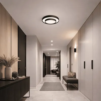E-light Plafonjera Led Franka EL-1019, 24W, 3000K-4000K-6500K, Crna