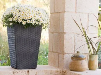Keter Saksija, Rattan, 38x38x57cm, Siva