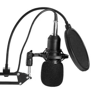 Giga Kondenzatorski profesionalni Mikrofon BM-800