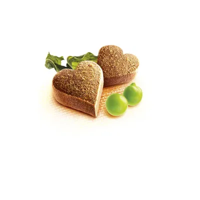 BRIT Vitamini za štenad Puppy, 150g