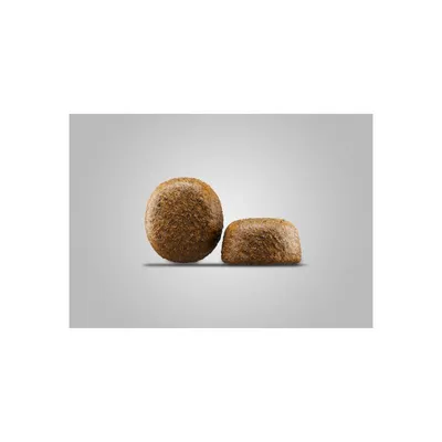 JOSERA Suha hrana za odrasle pse Large Breed, 12.5 kg
