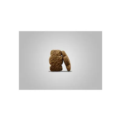 JOSERA Suha hrana za pse Kids, 900 g