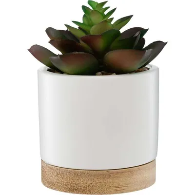 Atmosphera Umjetno cvijeće Succulent, 12  cm
