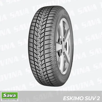 Sava Zimska guma Eskimo SUV 2 235/55 R17 103H XL