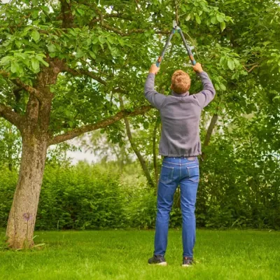 Gardena Teleskopske makaze škare za orezivanje grana TeleCut Pro S, 520-670 mm