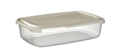 Fora Cool & safe box R 4,8 L, 4,8 L, Siv poklopac