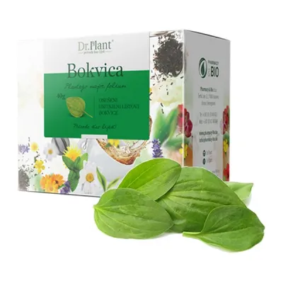 Dr. Plant Čaj, Bokvica, 40g