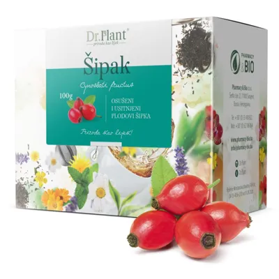 Dr. Plant Čaj, Šipak plod, 100g