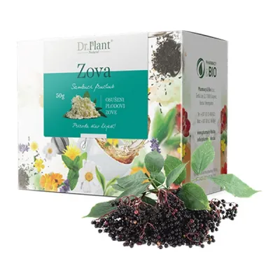 Dr. Plant Čaj, Zova plod, 50g