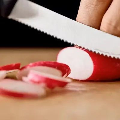 Victorinox Reckavi nož, 11cm, Sivi