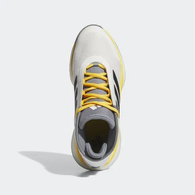 Adidas Muške patike Bounce Legends, Bijelo-sive