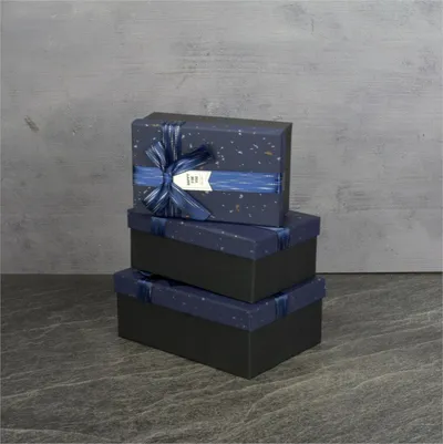 Milleryt Set od 3 ukrasne kutije Tohana, crne boje