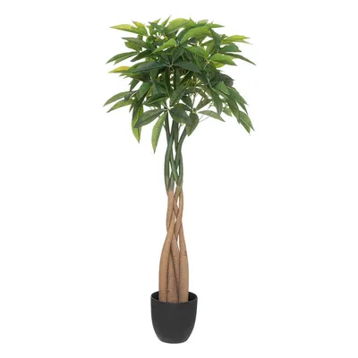Atmosfera Vještačko drvo, Pahira, 110 cm