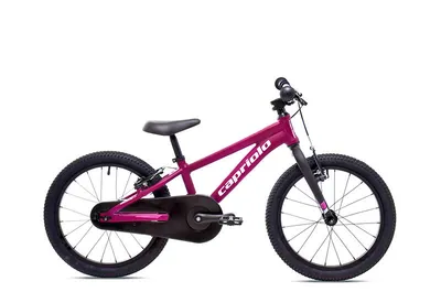 Capriolo Dječiji bicikl LC-Kid-18, Ljubičasti