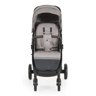 Moni Kolica Buggy, Siva