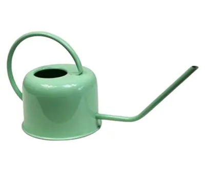 Millerykop Kanta za zalijevanje A12405370, 1,1 L, Zelena