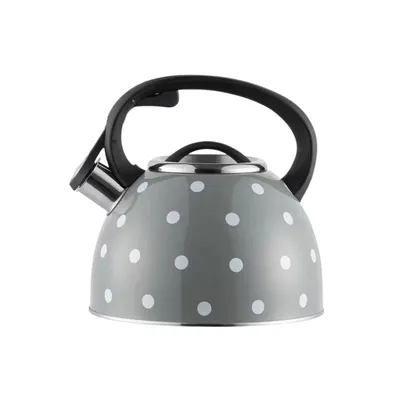 Milleryt Kuhalo Kettel Dotthy, 3000ml, Indukcijsko dno, Inox, Tamnosivo-bijelo