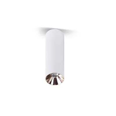 MASS-light LED downlight Caesar 30W bijeli