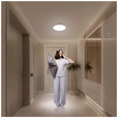 Xiaomi Svjetiljka Mi Smart Ceiling Light D20, 17W, LED