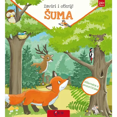 Forum Zaviri i otkrij: Šuma, Zelena