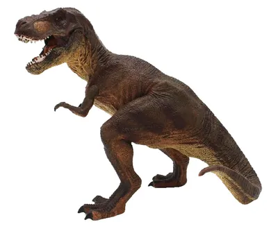 Tomo Šped Tiranosaurus 16x15cm