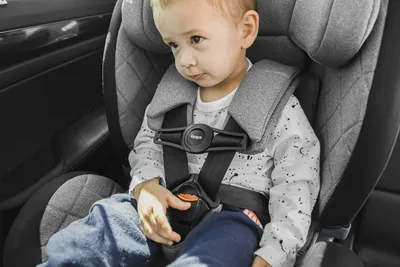 Zopa Sigurnosna Brava za Pojasa Autosjedalice