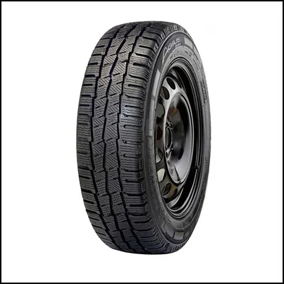 Michelin Zimska guma AGILIS ALPIN 205/65R16C 107T
